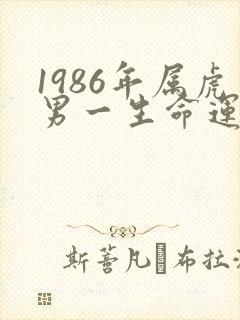 1986年属虎男一生命运如何