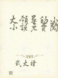 大领导的小妻子小说免费阅读