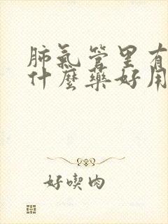 肺气管里有痰吃什么药好用