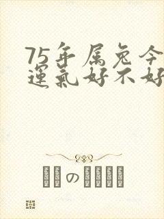 75年属兔今天运气好不好呢