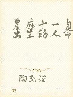 农历十一月十四出生的人命运如何