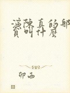 演陈真的那个演员叫什么封面