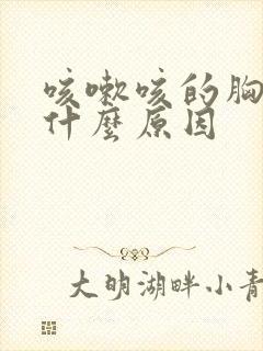 咳嗽咳的胸口痛什么原因封面