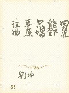 往事只能回味歌曲原唱邓丽君