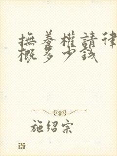 抚养权请律师大概多少钱