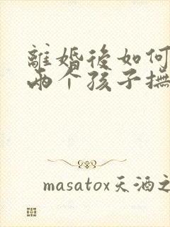 离婚后如何争取两个孩子抚养权