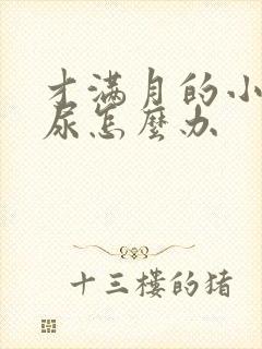 才满月的小狗乱尿怎么办