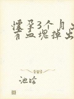 怀孕3个月出血有血块掉出封面