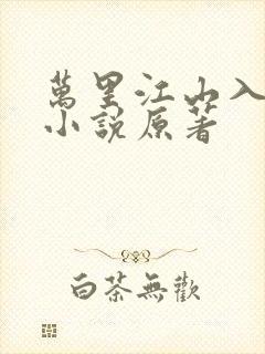 万里江山入我怀小说原著