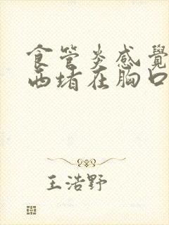 食管炎感觉有东西堵在胸口