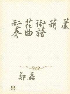 赶花街葫芦丝独奏曲谱