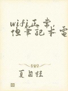 wifi正常,但笔记本电脑连不上网