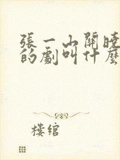 张一山关晓彤演的剧叫什么封面