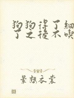 狗狗得了细小好了之后不吃东西怎么办