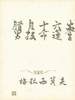 腊月十六出生的男孩命运会怎样