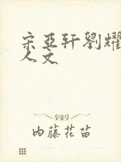 宋亚轩刘耀文同人文