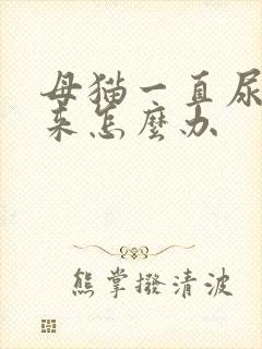 母猫一直尿不出来怎么办