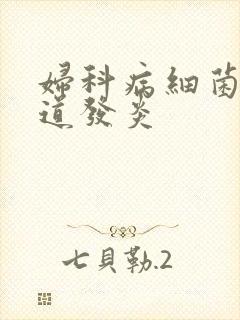 妇科病细菌性阴道发炎