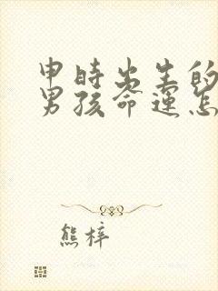 申时出生的属鸡男孩命运怎么样