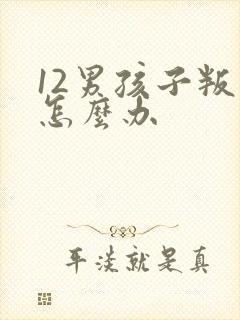 12男孩子叛逆怎么办