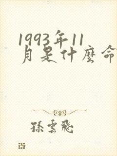 1993年11月是什么命五行属性