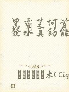 黑灵芝何首乌洗发水真的能黑发吗