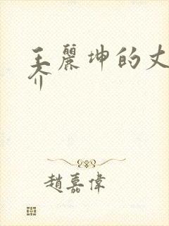 王丽坤的丈夫简介