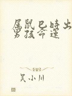 属鼠巳时出生的男孩命运