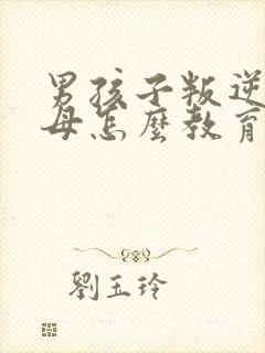 男孩子叛逆期父母怎么教育