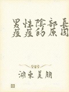 男性阴部长个小痘痘的原因