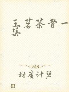 玉茗茶骨一共几集