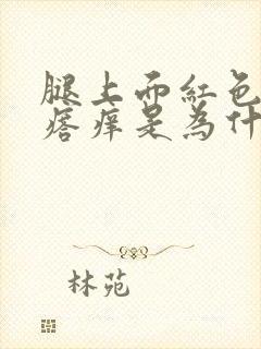 腿上面红色的疙瘩痒是为什么