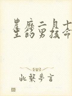 农历二月十五出生的男孩命运好吗