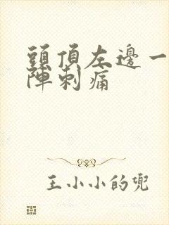 头顶左边一阵一阵刺痛