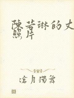 陈若琳的丈夫及照片