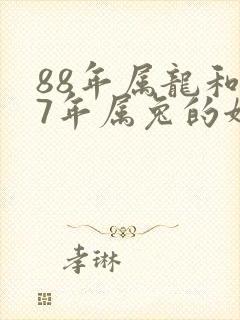 88年属龙和87年属兔的姻缘