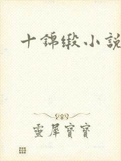 十锦缎小说封面
