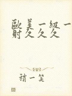 欧美一级一片内射久久久