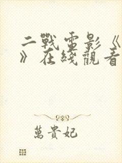 二战电影《浴血》在线观看封面