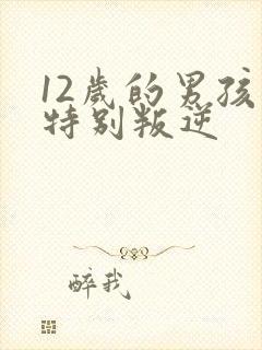 12岁的男孩子特别叛逆