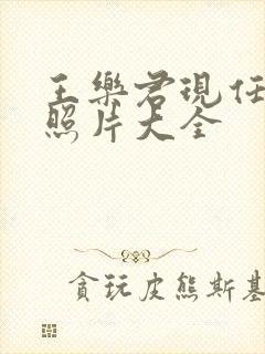 王乐君现任丈夫照片大全