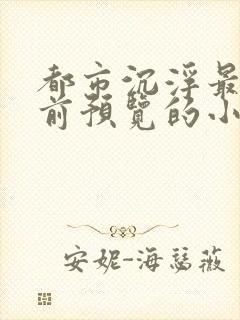 都市沉浮最快超前预览的小说封面