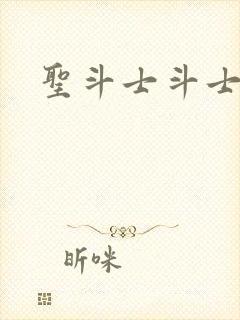 圣斗士斗士之魂