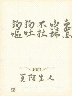 狗狗不吃东西还呕吐拉稀怎么办