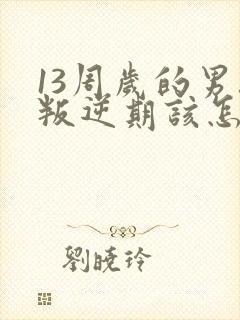 13周岁的男孩叛逆期该怎么办