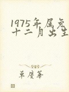 1975年属兔十二月出生命运