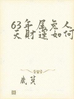 63年属兔人今天财运如何