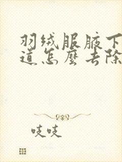 羽绒服腋下有味道怎么去除