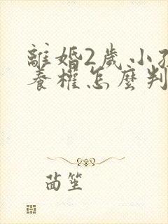 离婚2岁小孩抚养权怎么判定标准