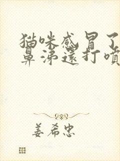 猫咪感冒了流浓鼻涕还打喷嚏怎么办封面